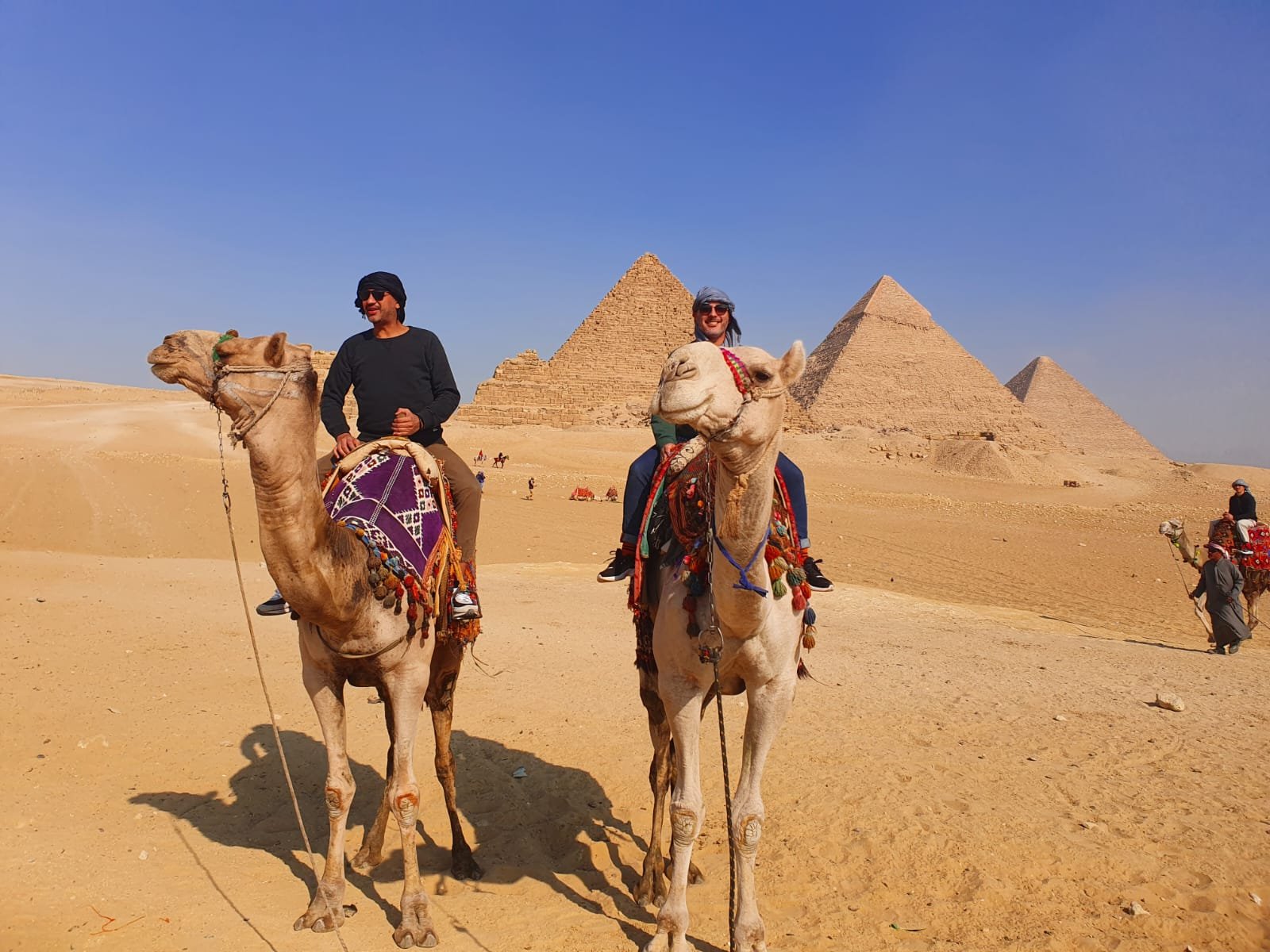 a222e8a8-c140-4533-87b5-36fedea5ac64